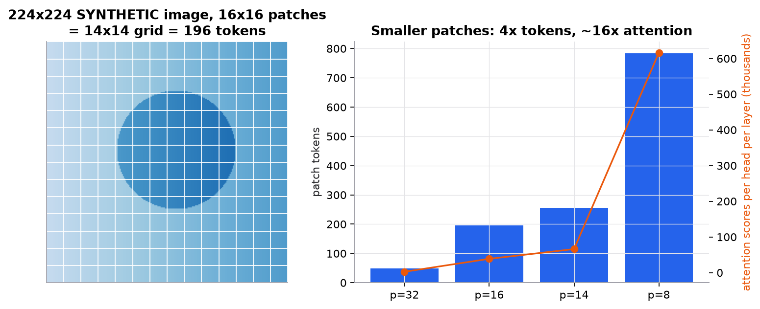Left: a 224 by 224 synthetic image overlaid with a 14 by 14 grid of white lines, one square per 16 by 16 patch, 196 tokens. Right: bars of token count for patch sizes 32, 16, 14, and 8 (49, 196, 256, 784 tokens) and a line of attention scores per head per layer rising from 2,500 to 616,225.